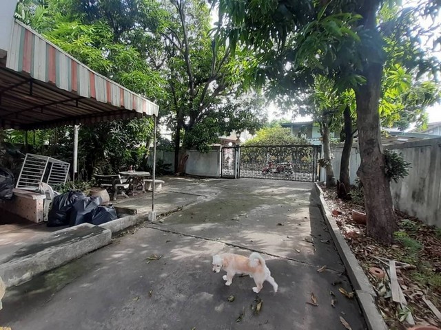 ขายด่วนนน !! ที่ดิน 99 ตรว. หมู่บ้านมิตรภาพ 2  ซ.อ่อนนุช 46