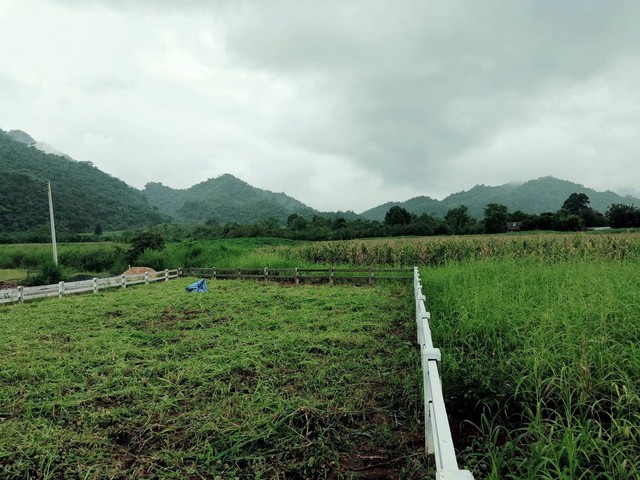 แบ่งขายที่ดินพร้อมสร้างบ้านที่เขาใหญ่​ บรรยากาศ​ดีมาก​ เงียบ​ สงบ​ ธรรมชาติ​สุดๆ