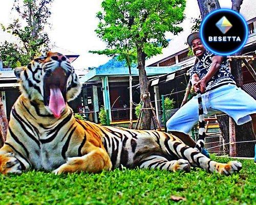 Tiger Kingdom Phuket