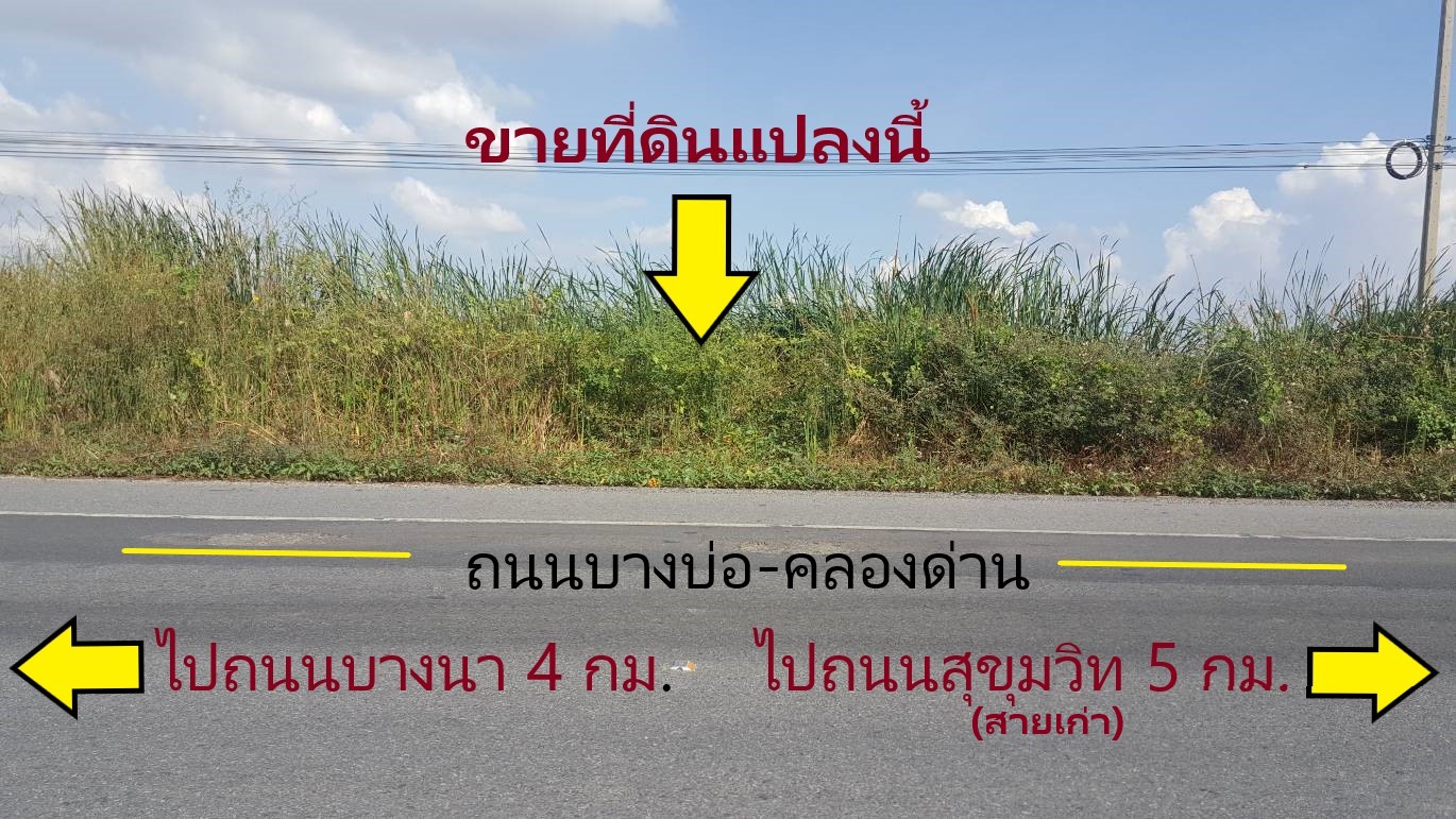 ขายที่ดิน 41 ไร่เศษ บางบ่อ คลองด่าน ( ถนนบางนา ตราด – ถนนสุขุมวิท สายเก่า )