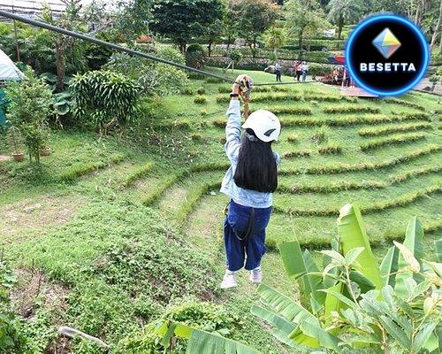 Doi Tung Tree Top Walk