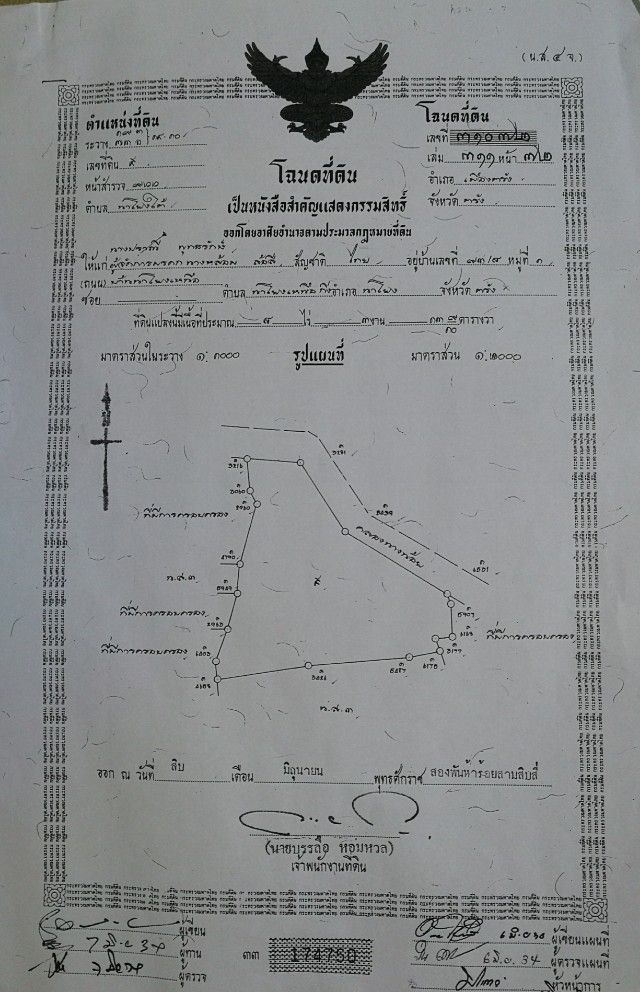 ขายที่ดิน สวนยางพารา อายุประมาณ 12 ปี มีผลไม้ เงาะ ลองกอง มังคุด และอื่นๆ