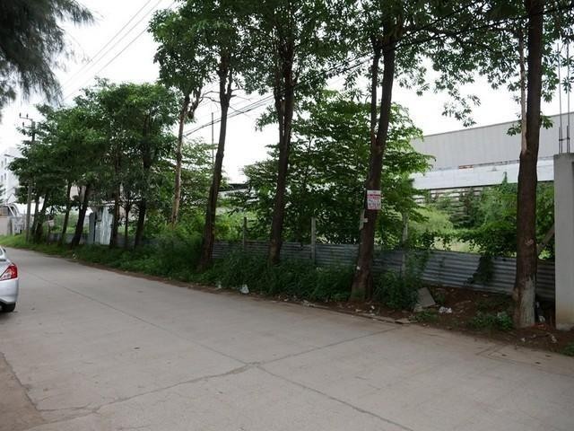 KK36 Land For Rent ที่ดินถมแล้ว 1 ไร่ ลาดพร้าว101 ซอยโพธิ์แก้ว3