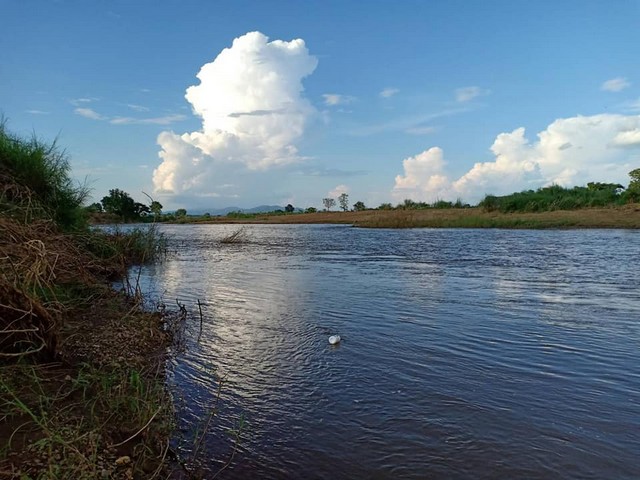 นี่เลยที่วิวดี  ริมแม่น้ำน่าน อำเภอท่าวังผา จังหวัดน่าน มีที่งอก 