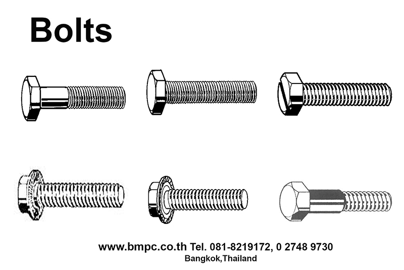 Bolt with flange, Shoulder screw, Set screw, screw plug, thin nut, lock nut, Castle nut, Locking disc spring, tab washer, e-ring, shim ring, bonded seal