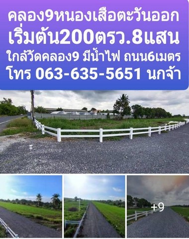 ขายที่ดินคลอง 9 หนองเสือ ตะวันออก มีหลายแปลง เริ่มต้น 200 ตรว. ราคาพิเศษ ฟรีโอน