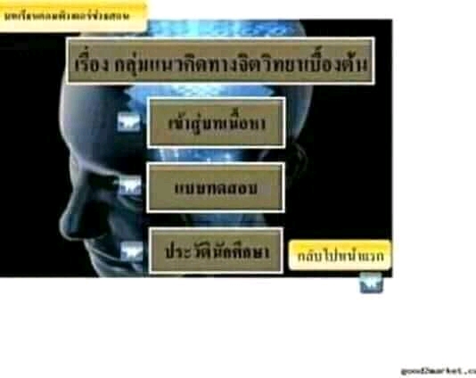 รับทำงานวิจัยปริญญานิพนธ์