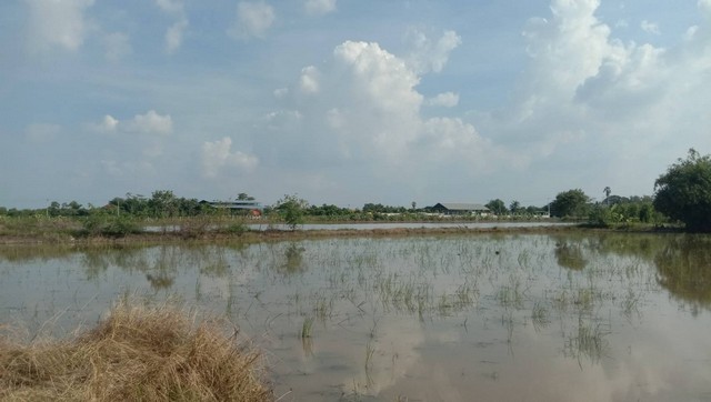 ที่สวยงสมสมราคา ตำบลบ่อเงิน อำเภอลาดหลุมแก้ว จังหวัดปทุมธานี 