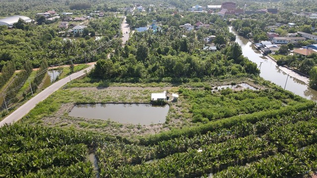 ขายที่ดินติดคลองแม่กลอง 4.5 ไร่ อำเภอเมืองสมุทรสงคราม ด้านหน้าติดถนนใหญ่