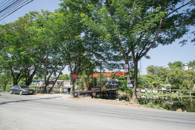 ขาย ที่ดิน ซ.เทพกุญชร 13/1 ตรงข้าม ม.ธรรมศาสตร์ เชียงรากน้อย ปทุมธานี