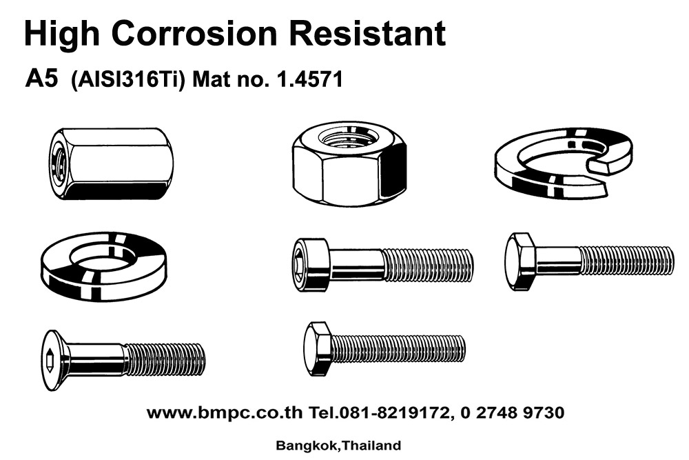 High corrosion resistant fasteners, Duplex bolt, A5, AISI316Ti