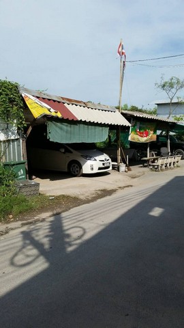 ขายที่ดินเปล่า 61 ตร-ว. ซอยบางกระดี่แยก 23 แสมดำ เดินทางสะดวก ใกล้แหล่งชุมชน บางขุนเทียน