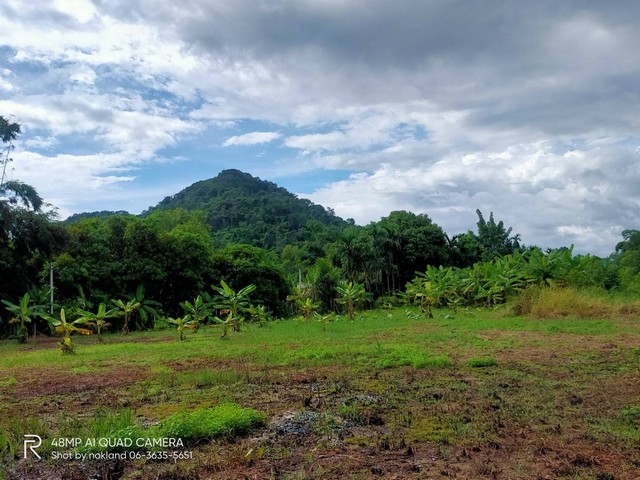 ขายสวนสวยพร้อมบ้านหลังน้อยน่ารักถมแล้วทั้งแปลง 2 ไร่ ต.เขาพระ อ.เมือง จ.นครนายก บรรยากาศธรรมชาติ