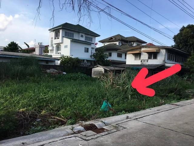 ขายที่ดิน​ย่านศรีนครินทร์ เนื้อที่ 100 ตรว.ซอยอ่อนนุช 46 ใกล้ปากซอยเหมาะสร้างบ้านออฟฟิศ