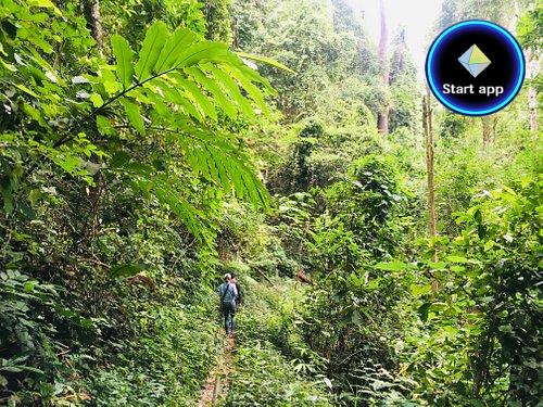 Doi Suthep-Pui National Park