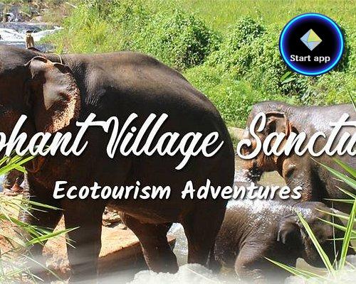 Elephant Village Sanctuary