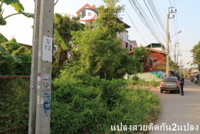 ขายที่ดิน เทียนทะเล ซ.7 บางขุนเทียน-ชายทะเล แสมดำ ถมแล้ว ติดถนนคอนกรีต เหมาะสำหรับปลูกบ้านพักอาศัย