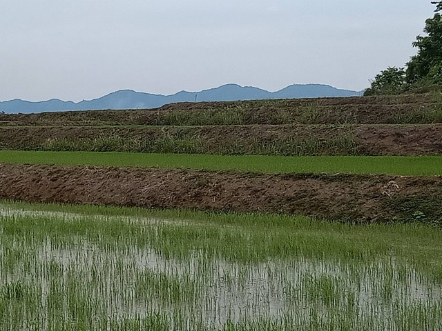 ขายที่ดินแปลงสวยสี่เหลี่ยมผืนผ้า 4ไร่ บรรยากาศธรรมชาติล้อมรอบด้วยวิวดอย ถนน น้ำ-ไฟ ผ่านหน้าที่ดิน 