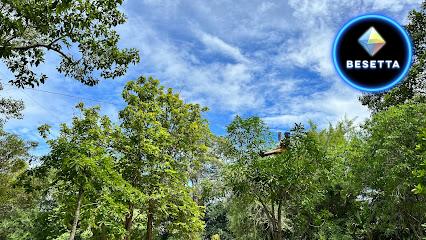 Tree Top Adventurepark Huahin