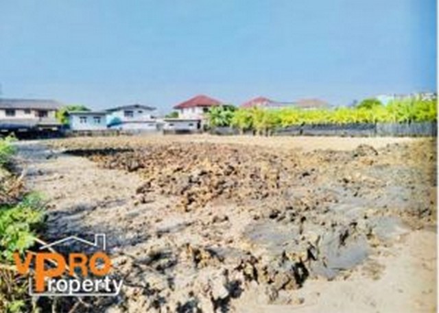 ขาย ที่ดินสวย ถมเเล้ว ซอยเพชรเกษม 102-4  ใกล้เดอะมอลล์บางเเค
