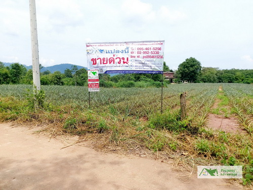 ขายที่ดิน 4-1-14 ไร่ ทำเลดี  ต.แก้งไก่  อ.สังคม  จ.หนองคาย 