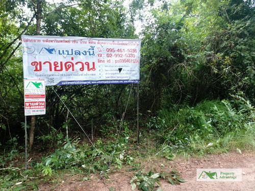 ขายที่ดินเปล่า 12-3-56 ไร่  ทำเลดี   ต.หนองแวง  อ.บ้านแพง  จ.นครพนม 