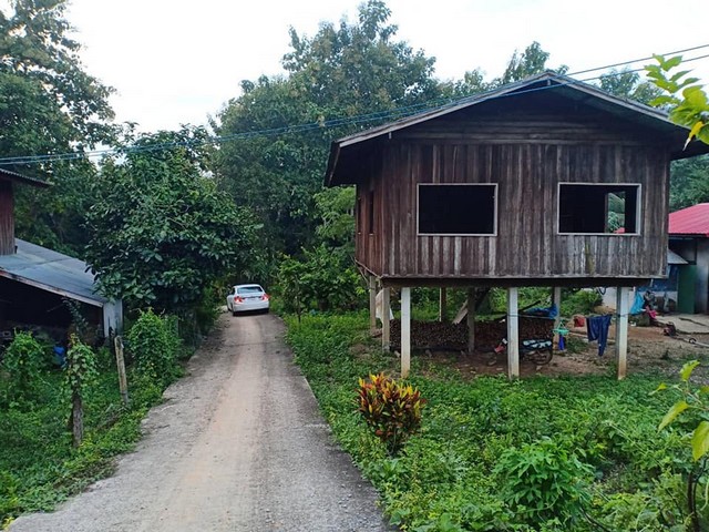 แนะนำที่ดินพร้อมขาย ติดลำธาร ตำบลพงษ์ อำเภอสันติสุข จังหวัดน่าน  