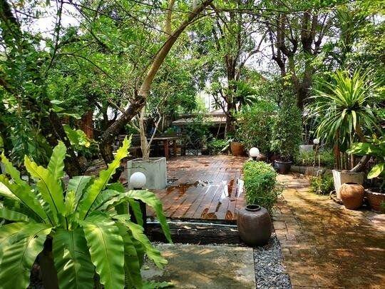 ขายที่ดินพร้อมสวนซอยนาคนิวาส37 ลาดพร้าว เนื้อที่ 100ตารางวา ขาย9.5ล้าน