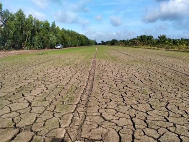 ขายที่ดินผืนเล็ก เนื้อที่ 100 ตรว หน้ากว้าง 12 เมตร คลอง 9 หนองเสือ ปทุมธานี 3 ใกล้ซอยลุงจุน