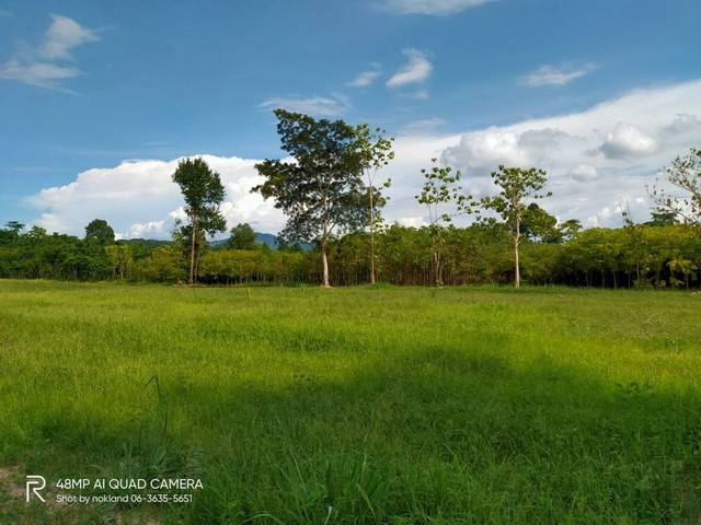 แบ่งขายที่วิวเขา รูปที่สวย ที่ไม่ต้องถม มีเพื่อนบ้านไฟฟ้า ประปา ต.ชะอม อ.แก่งคอย สระบุรี