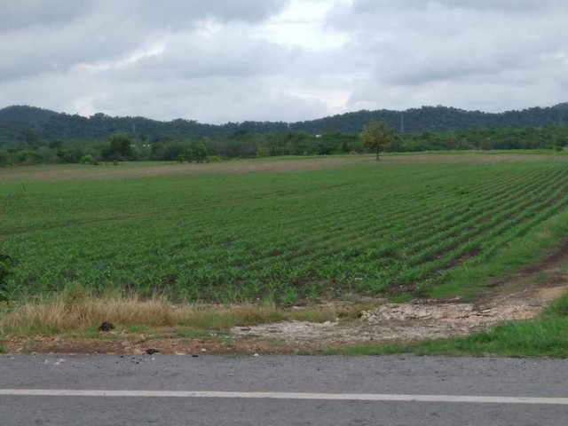 ขายที่ดินแปลงสวยราคาถูก ที่ดินสวยๆ บรรยากาศดีๆ ได้โอโซนเต็มเปี่ยม สระบุรี